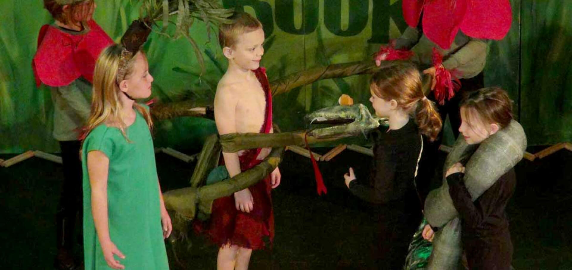 Jungle Book, Kids - November, 2015 - Asheville Masonic Temple